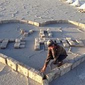 User avatar for Vivianne Barzu