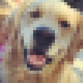 User avatar for Rhett Miles