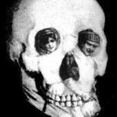 User avatar for OMG Ponies!