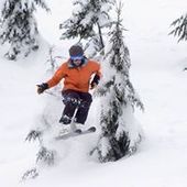 User avatar for Quinton Dowling