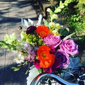 User avatar for Natalie Marr