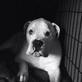 User avatar for Rob Discher