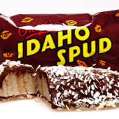 User avatar for Steve Jalbert