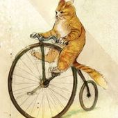 User avatar for Jake Y