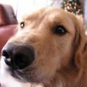 User avatar for Jean Stolzman