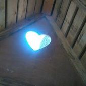 User avatar for Nele Anastasia Remi