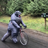 User avatar for Anne Sustar