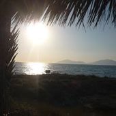 User avatar for Dorien Coomans