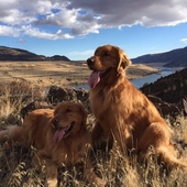 User avatar for Susanna S