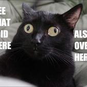 User avatar for Brian Auron