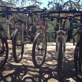 User avatar for Graceann T