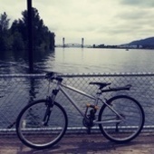 User avatar for Hiroe Felix