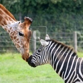 User avatar for Evelien De Grauwe