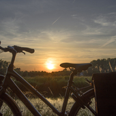 User avatar for Riet Lenaert