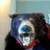 User avatar for Francis Hamel