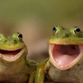 User avatar for Beau Morton