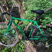 User avatar for Alex Svendsen