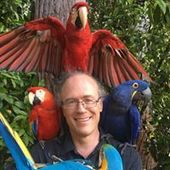 User avatar for Erik Heino