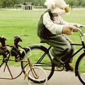 User avatar for Nicole Capozziello