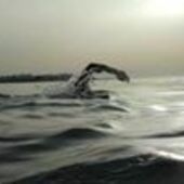 User avatar for Alain Comtois