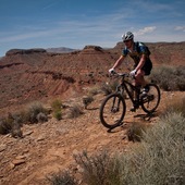 User avatar for Bill Wildman