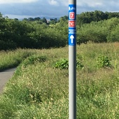 User avatar for Amanda Sharkey