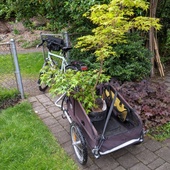 User avatar for Nancy Helm