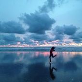 User avatar for Amanda Gresen