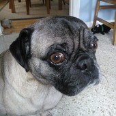 User avatar for Brian Mason