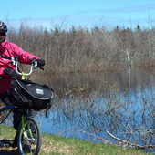 User avatar for Louise Drainville