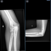 User avatar for Kris Schollaert