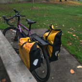 User avatar for Amy Bild