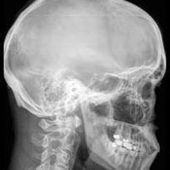 User avatar for Camil Rousseau