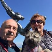 User avatar for Patrick En Ann Martens Dhelft