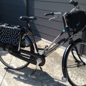 User avatar for Peggy Vercammen