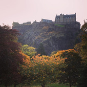 User avatar for Lawrence Albahra