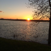 User avatar for Julie Dauphinais