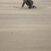 User avatar for Michael Perry