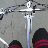 User avatar for Arwen Golden