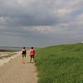 User avatar for Greta Van Bockstal