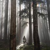 User avatar for Monique Devasquez