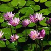 User avatar for Annemie Devroye