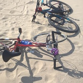 User avatar for Eveline Heyman