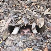 User avatar for Joris Dewandeleer