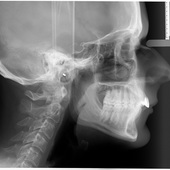 User avatar for Sébastien Laliberté