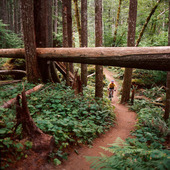 User avatar for Brant Rigby