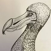 User avatar for Andrew Norskog