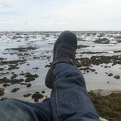 User avatar for Francis Tetrault