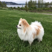 User avatar for Stuart Pascua