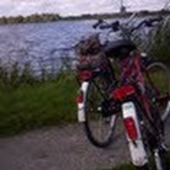 User avatar for Nicole Bonneau